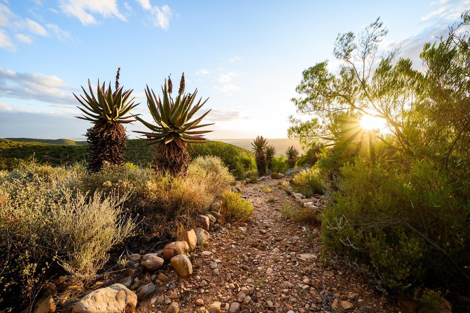 Bed and Breakfast Le Petit Karoo Ranch Оудсхорн Экстерьер фото