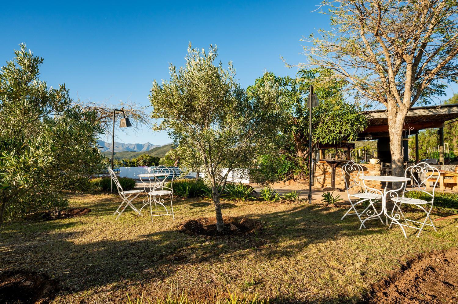 Bed and Breakfast Le Petit Karoo Ranch Оудсхорн Экстерьер фото