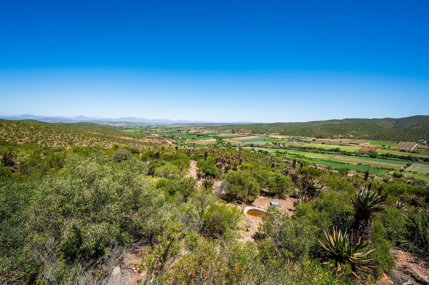 Bed and Breakfast Le Petit Karoo Ranch Оудсхорн Экстерьер фото