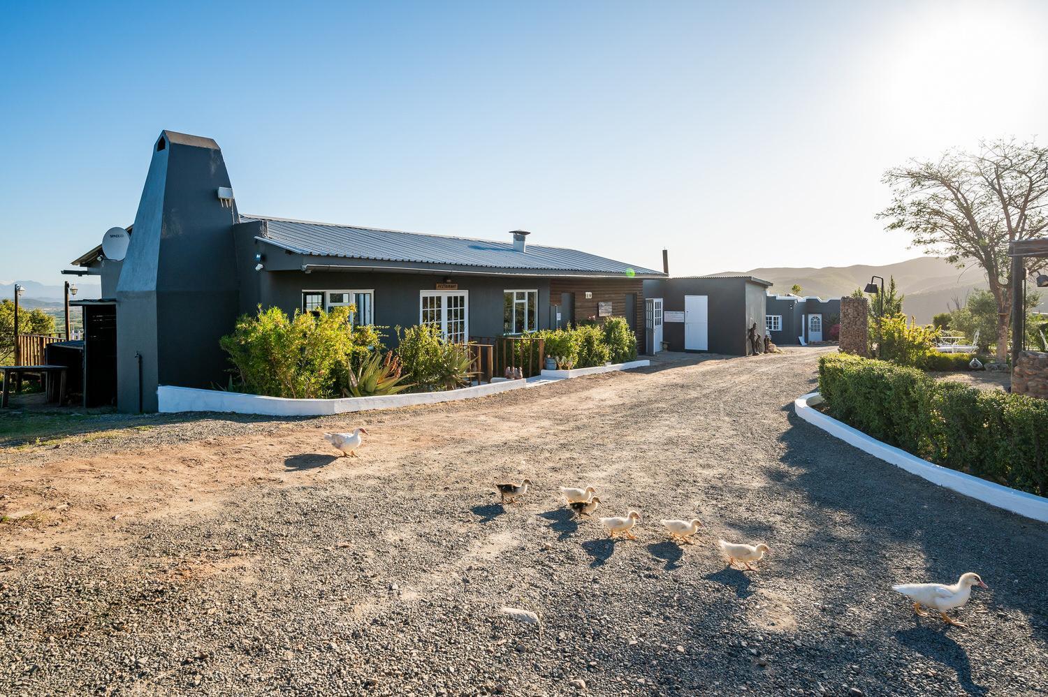 Bed and Breakfast Le Petit Karoo Ranch Оудсхорн Экстерьер фото